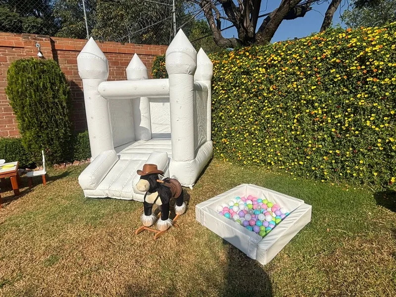 Castillo inflable con alberca de pelotas
